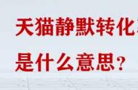 天貓靜默轉化率是什么意思？
